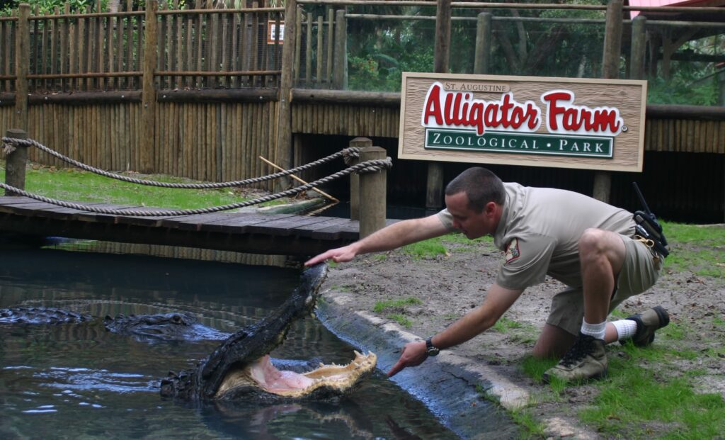 Alligator Farm VIP Behind the Scenes Tour Whiskey Wine and Wildlife