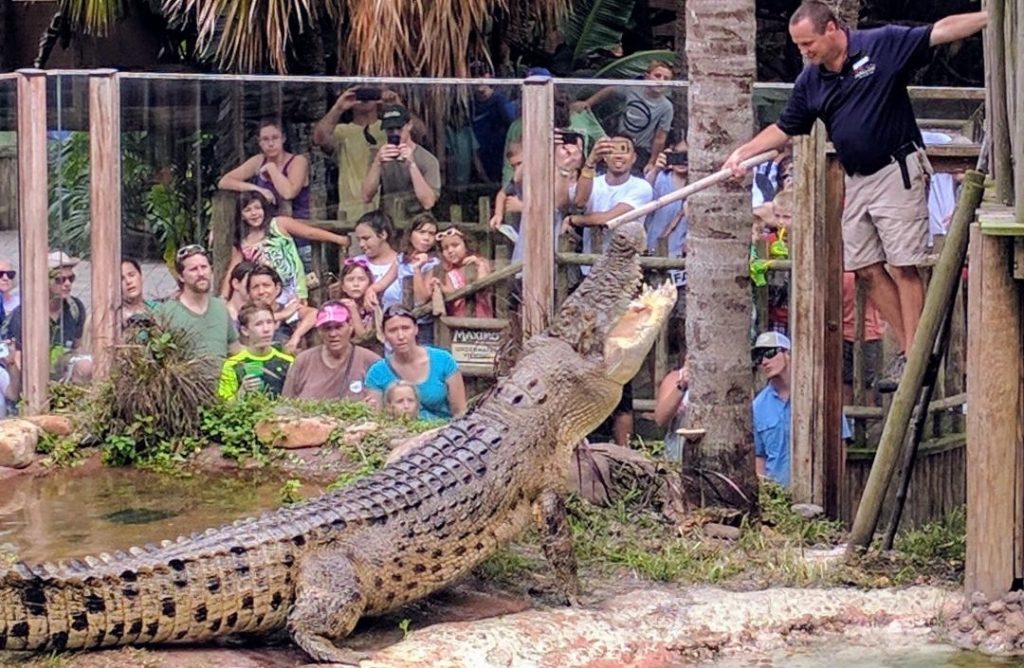 Alligator Farm VIP Behind the Scenes Tour and Wine & Cheese Reception